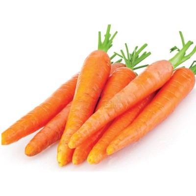 Морковь молодая 1 кг - купить в Костеке