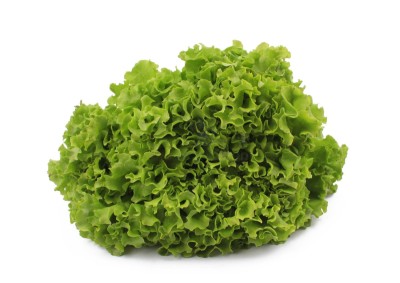 Салат айсберг 300 г - купить в Костеке